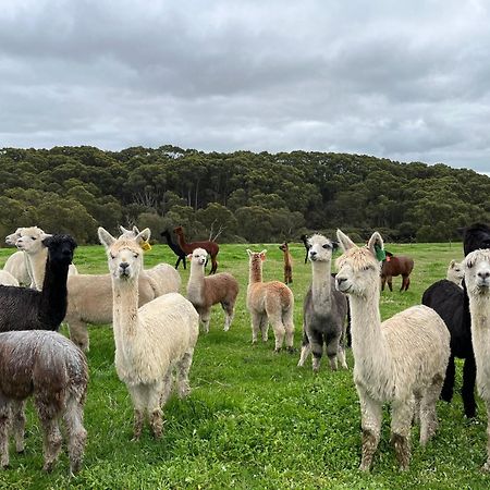 Twelve Apostles Motel & Country Retreat Princetown Buitenkant foto